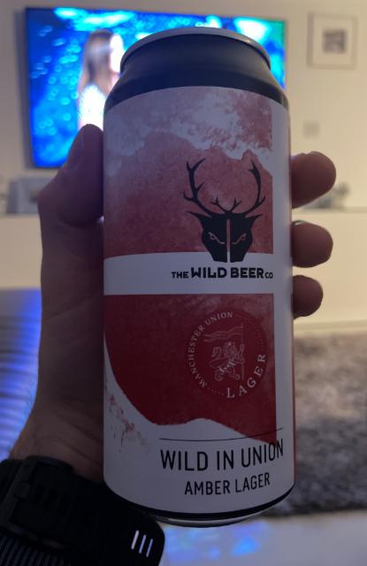 Wild in union 4.8%, Wild Beer, England