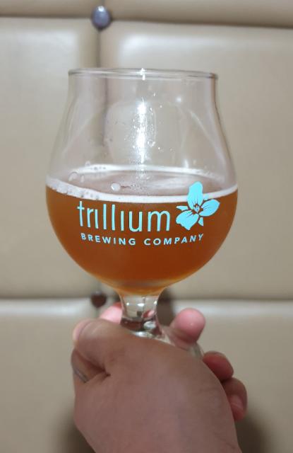 wildboyz 8.8%, Hideout Craft Brewery, Philippines