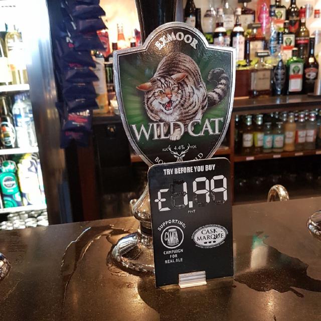 Wild Cat 4.4%, Exmoor Brewery, England