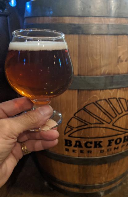 Windy Van Hooten 4.5%, Back Forty Beer Company, United States