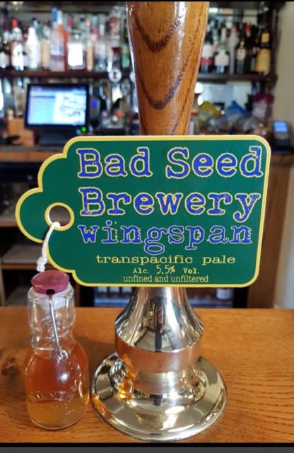 Wingspan 5.5%, Bad Seed Brewery, England
