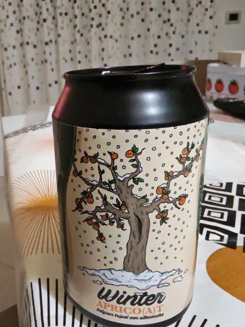 winter apricoat 11.0%, Hop Skin, Italy
