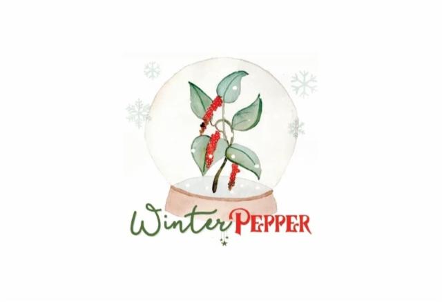 Winter Pepper 7.5%, Brasserie Thiriez, France