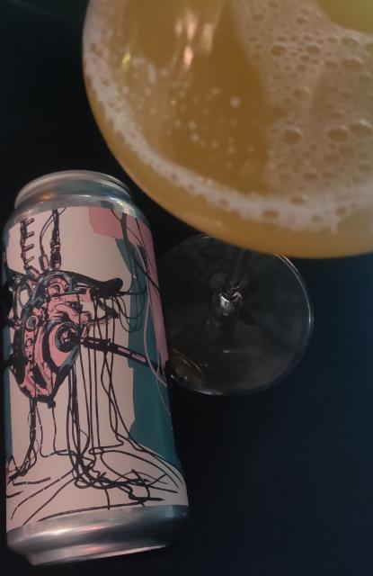 Wired DDH NE DIPA 8.0%, Bereta Brewing Co, Romania