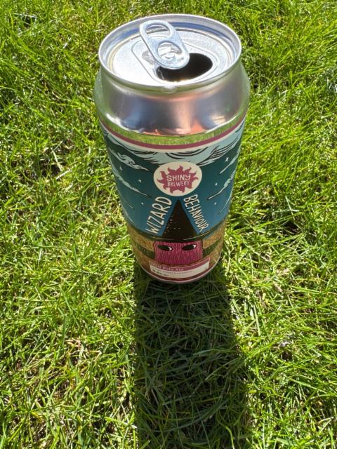 Wizards behavior 5.4%, Shiny Brewery, United Kingdom