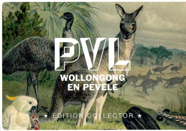 Wollongong En Pévèle 6.6%, PVL - La Brasserie Du Pavé, France