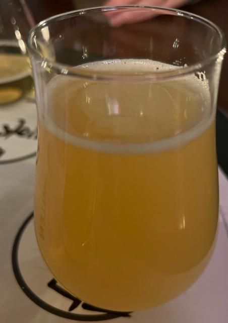 Wormhole 5.0 4.7%, Monkey Brew, Norway