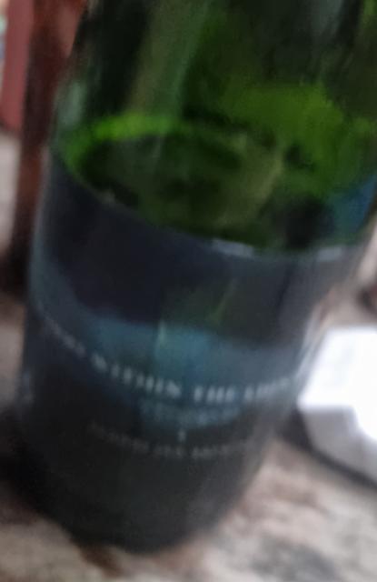 worms within the lion's body (2020) 8.7%, Floodland Brewing, United States