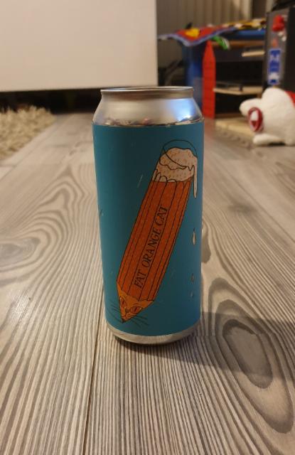 Write Drunk Edit Sober 7.2%, Fat Orange Cat Brew Co., United States
