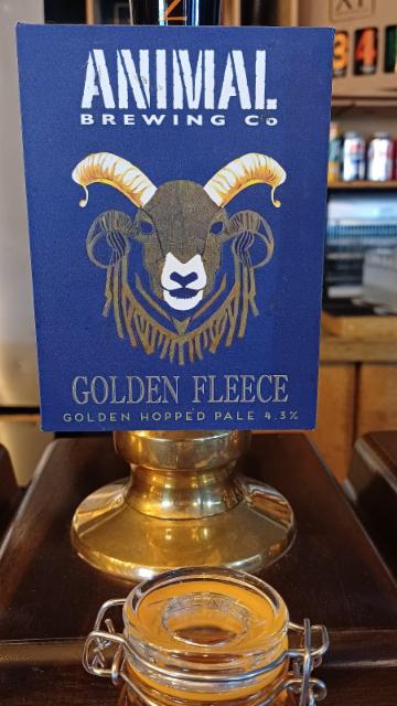 XT Golden Fleece, XT Brewing