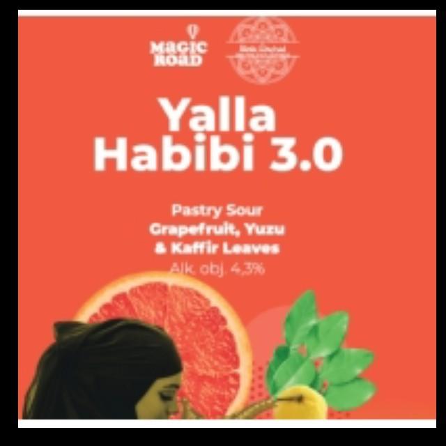 Yalla Habibi 3.0, Magic Road