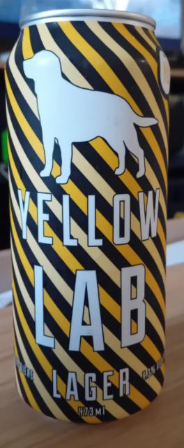 Yellow lab, Old Dog Brewing Company