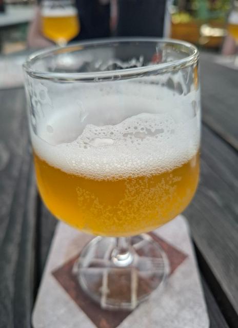 YMPA 6.2%, Brouwerij de Brouwschuur, Netherlands