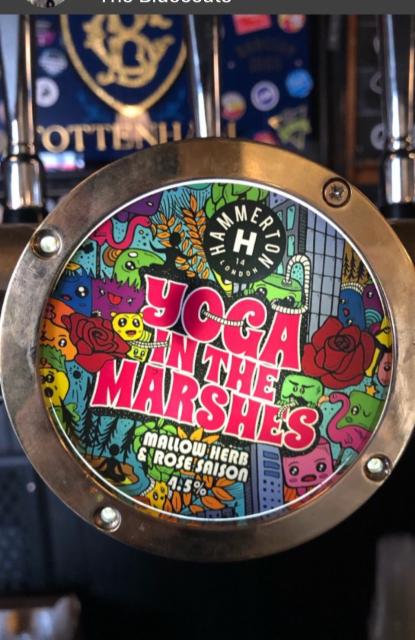 Yoga In The Marshes 4.5%, Hammerton Brewery, England