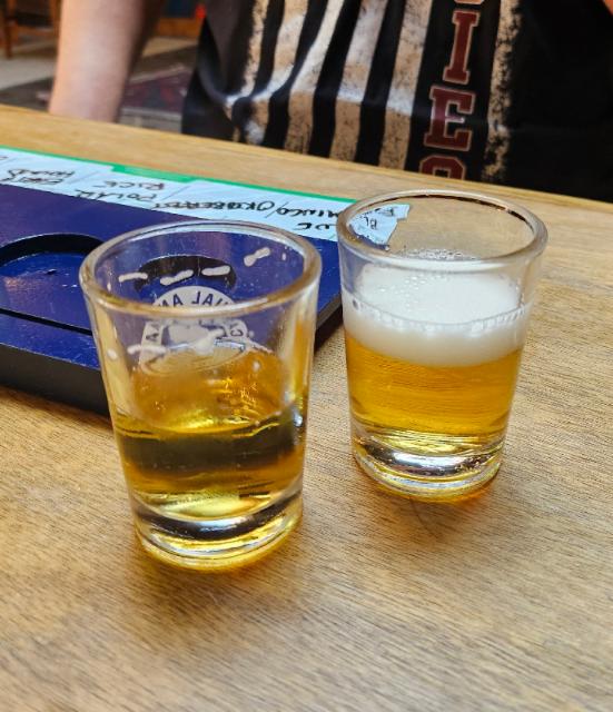 YoloToro 5.2%, Casual Animal Brewing Company, United States