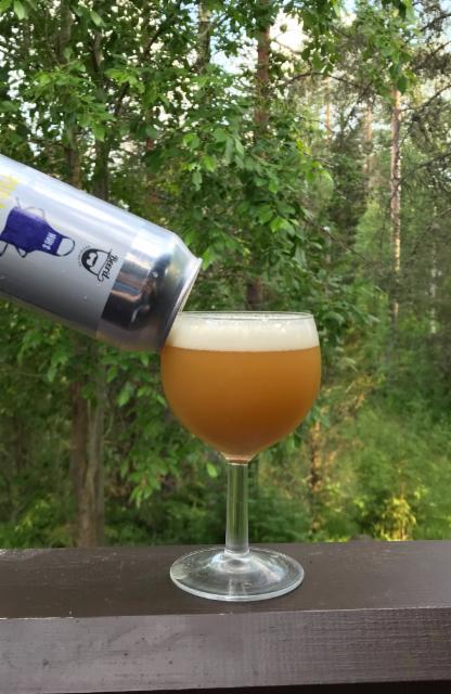 You Like 'A Da Juice 7.0%, Beer'd Brewing, United States