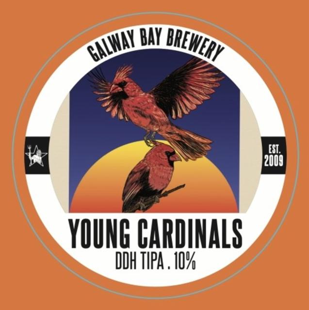 Young Cardinals 10.0%, Galway Bay Brewery, Ireland