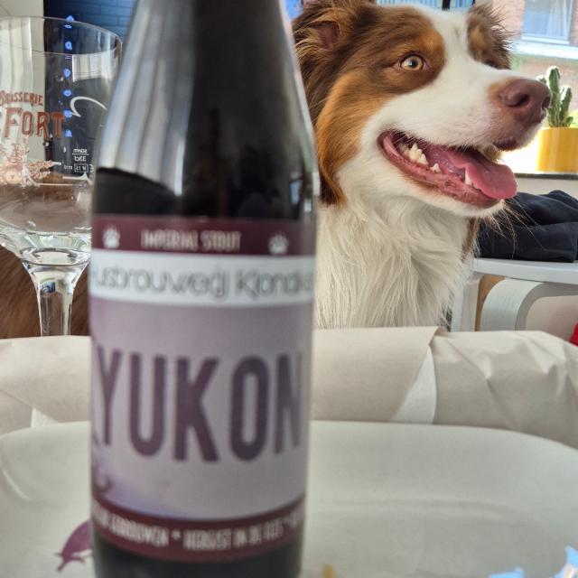 yukon 9.6%, Huisbrouwerij Klondiker, Belgium