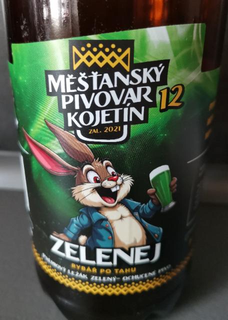 Zelenej rybář po tahu 4.8%, Meštansky pivovar kojetín, Czech Republic