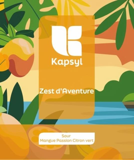 Zest D'Aventure 6.2%, Brasserie Kapsyl, France