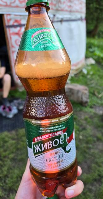 Zhivoe Bezalkogolnoe 0.0%, Abdysh-Ata / Абдыш-Ата, Kyrgyzstan