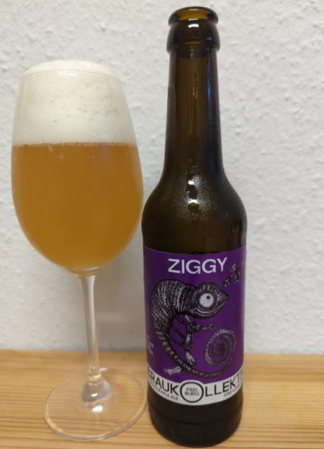Ziggy #27 5.9%, Braukollektiv, Germany