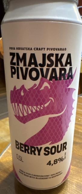 Zmajska pivovara berry sour, Zmajska Pivovara
