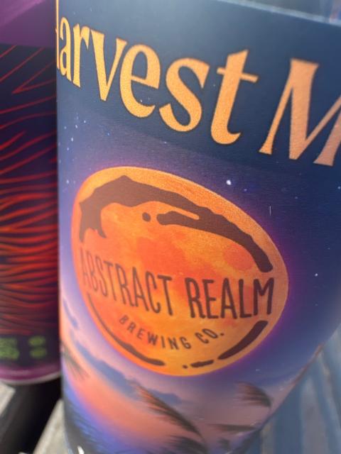 Abstract Realm