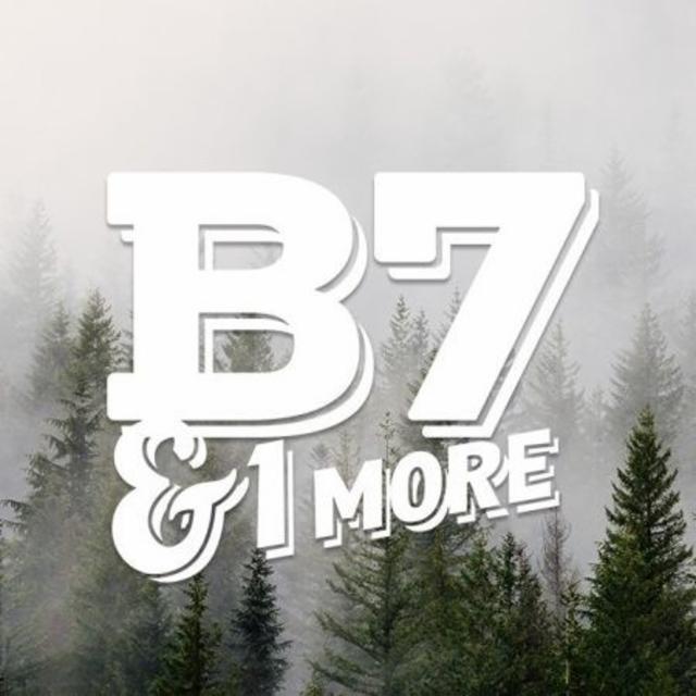 B7 & 1 More
