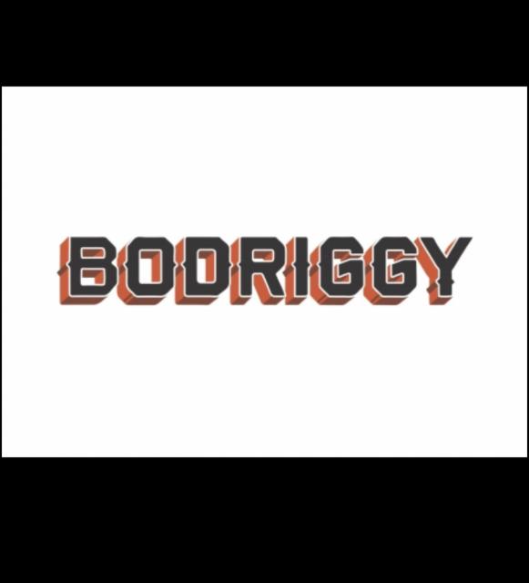 Bodriggy Brewing Co.