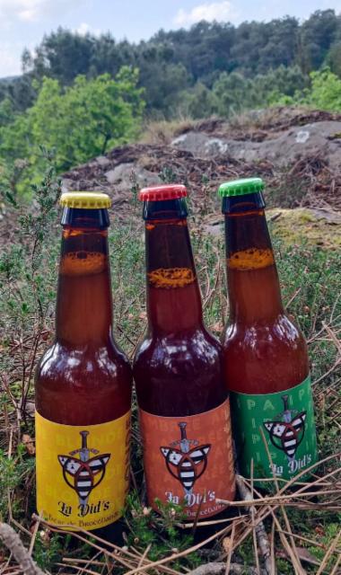 Brasserie Did's [Closed]