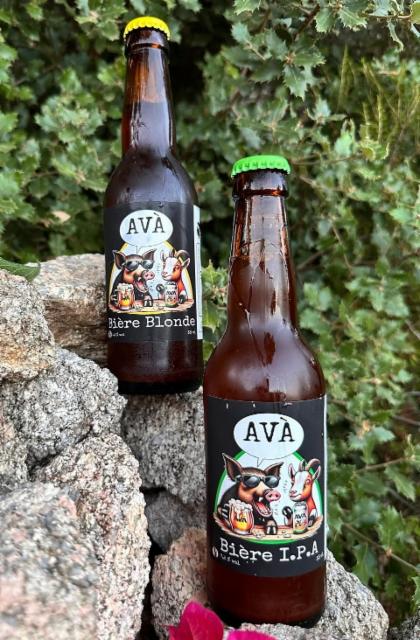 Brasserie Petra Longa