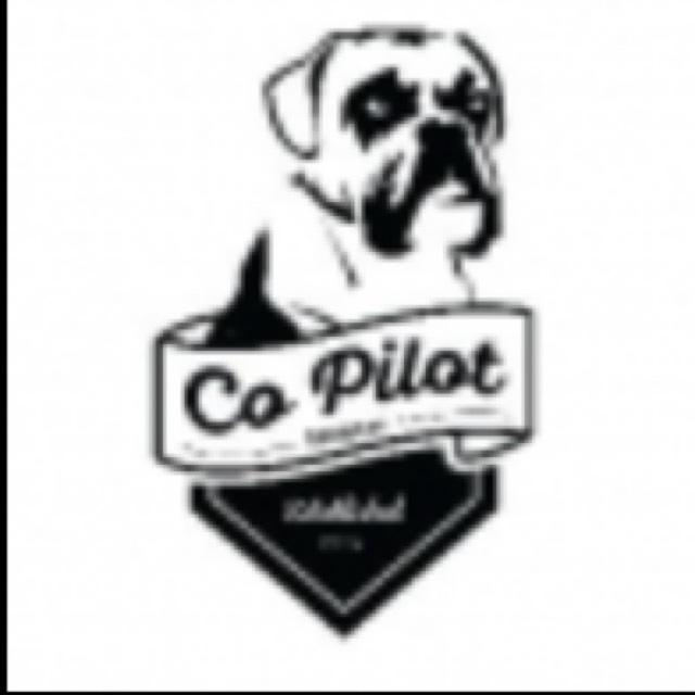 Co Pilot (Borrowden)