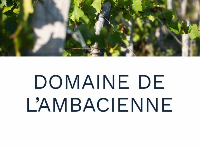 Domaine De L'Ambacienne