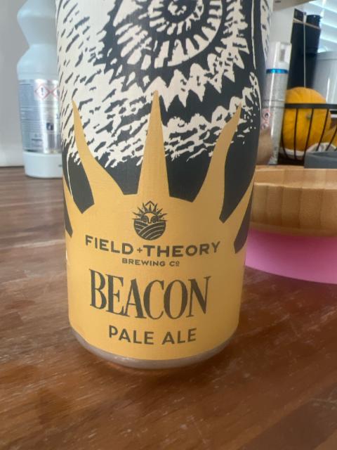 Field + Theory