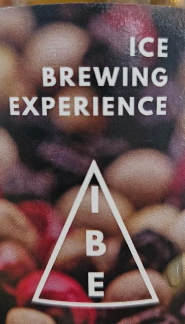 Brasserie Maison - Ice Brewing Experience