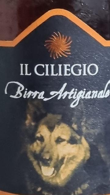 Il ciliegio