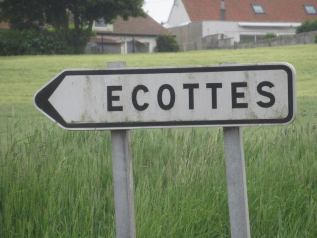 Microbrasserie D'Ecottes