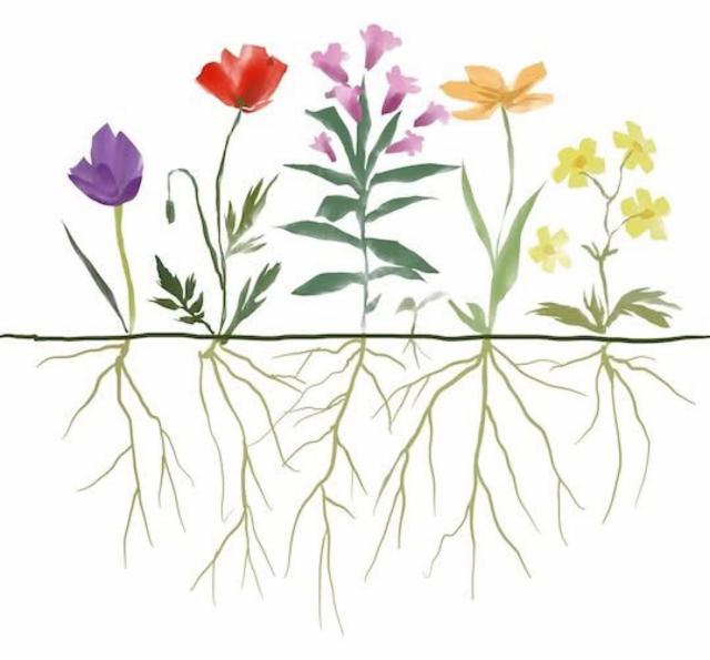 Norbæk Gårdbryggeri