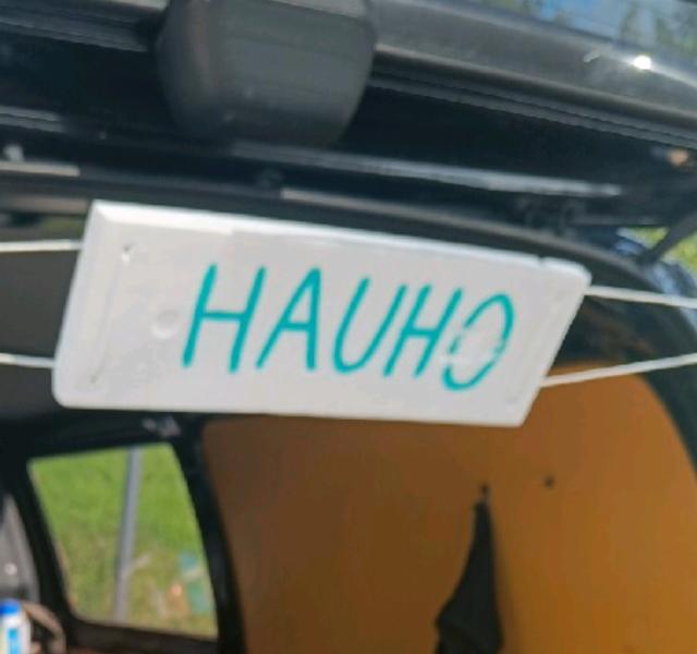 Sahdin SM 2022-2024, Hauho