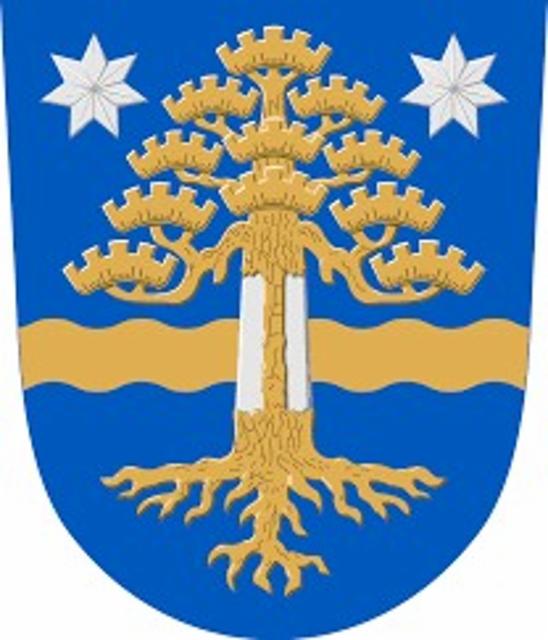 Sahdin SM 2022, 2025, Parkano