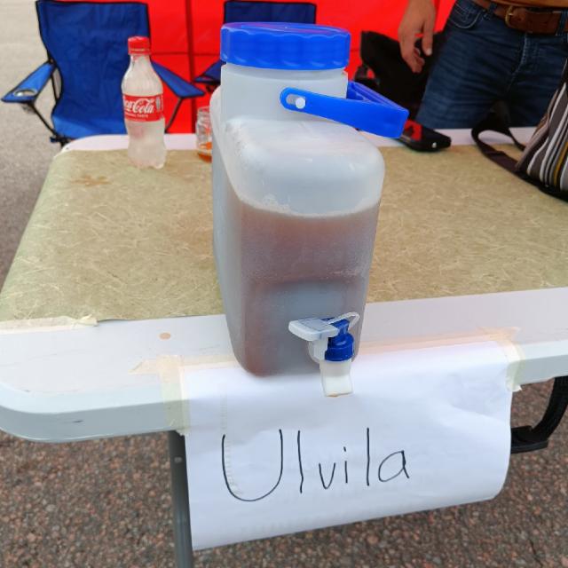 Sahdin SM 2025, Ulvila