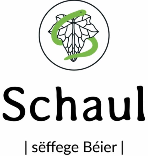 Schaul