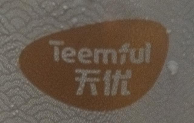Teemful / 天优