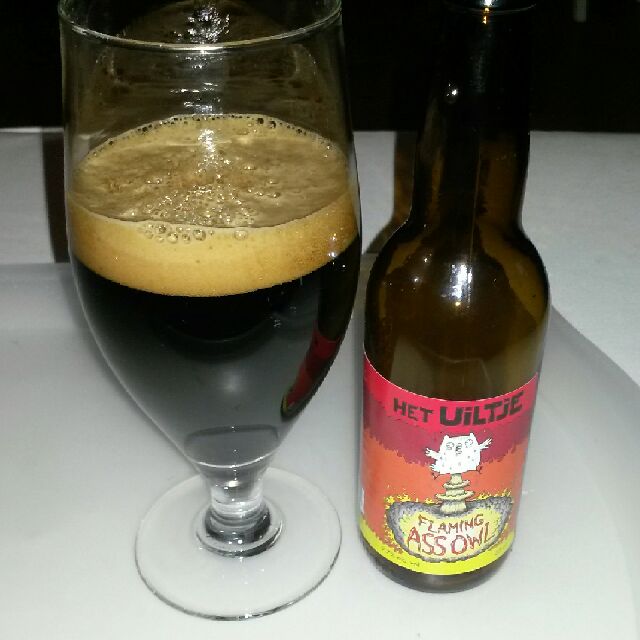 Flaming Ass Owl, Netherlands