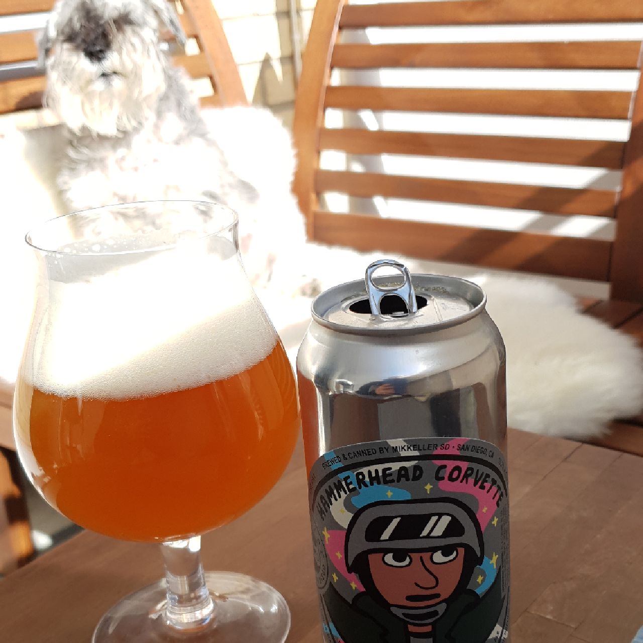 Hammerhead Corvette, United States