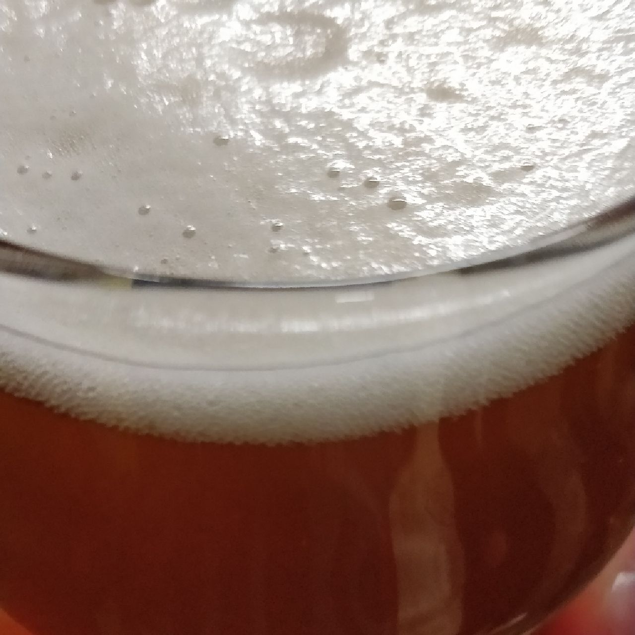 South Pacific IPA "Galaxy", Finland