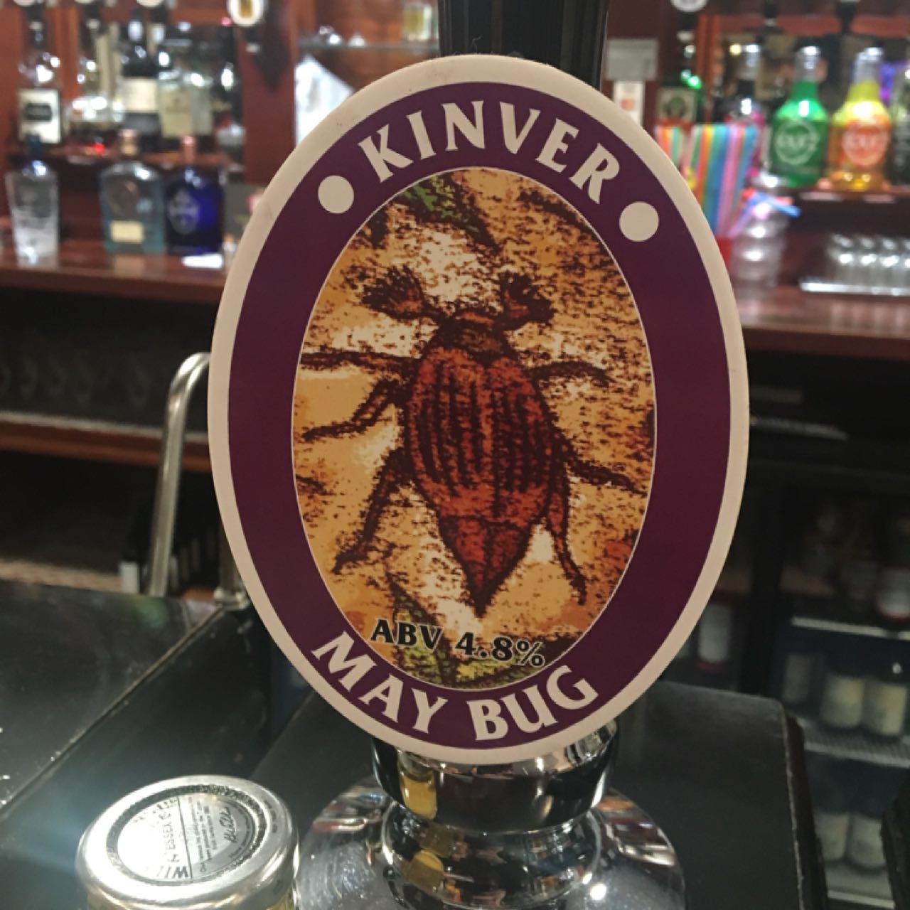 May Bug, England
