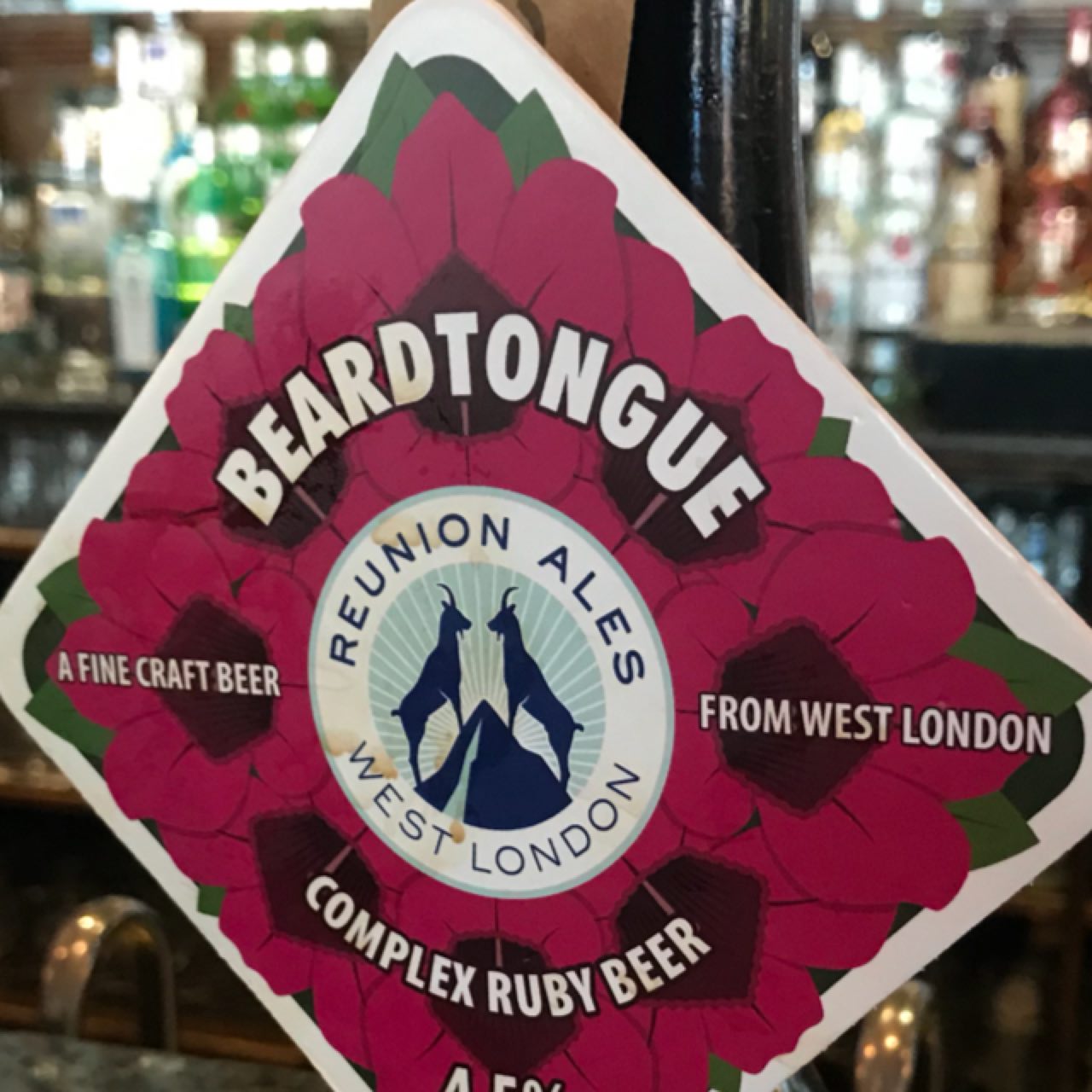 Beardtongue, England