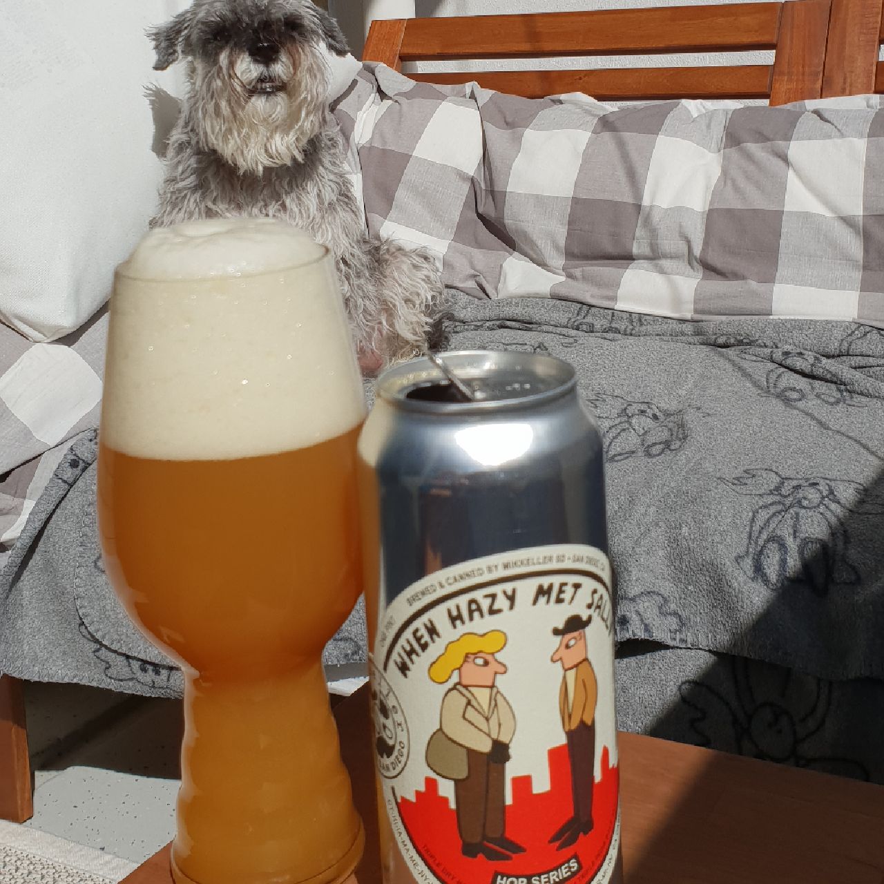 When Hazy Met Sally, United States